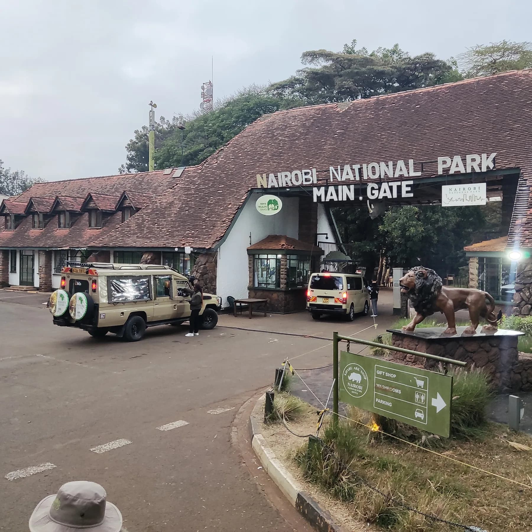 Nairobi National Park: The Only National Park Inside a Capital City