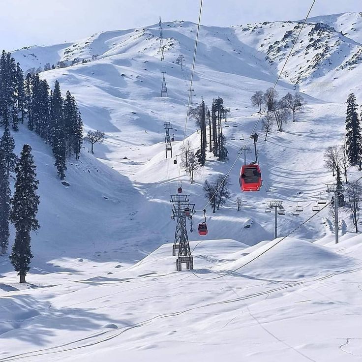 Gulmarg-Kashmir-1