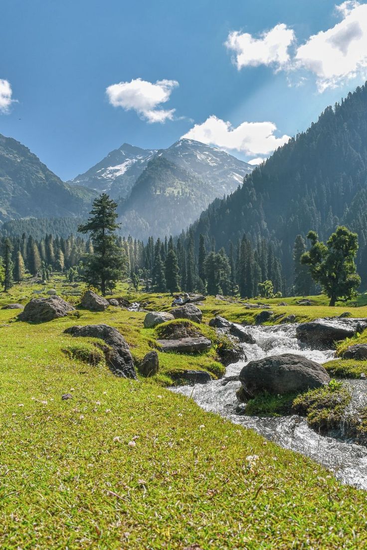 This Beautiful Landscape from Aru Valley, Kashmir